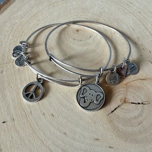 Set of 2 Alex and Ani Silver Tone Charm Bracelets